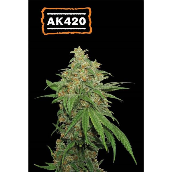 AK420 Auto