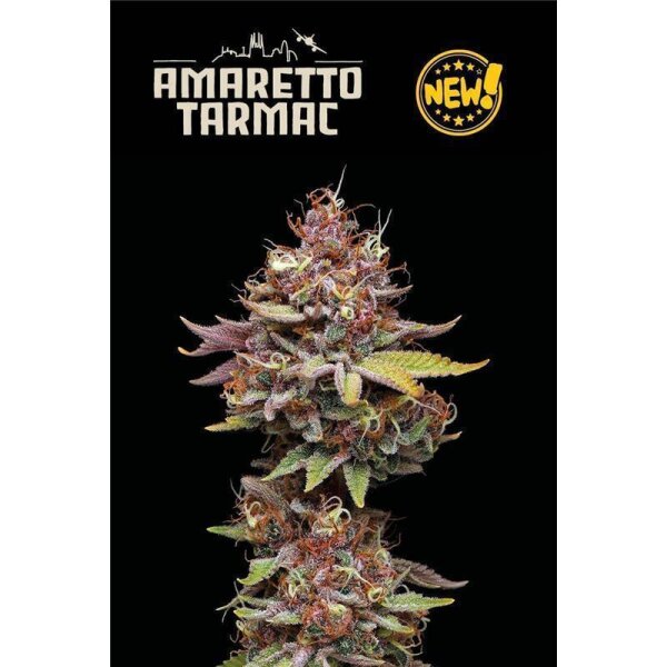 Amaretto Tarmac Fem