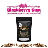 Black Berry Gum Fem