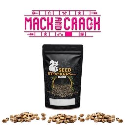 Mack & Crack Fem
