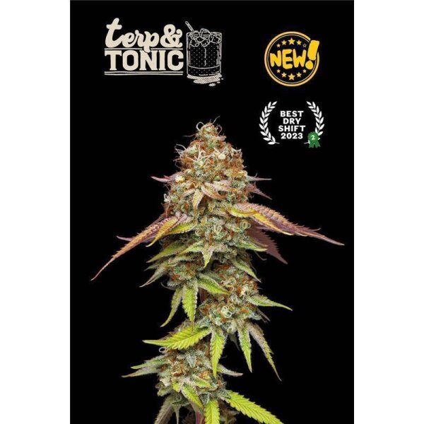 Terp & Tonic Fem