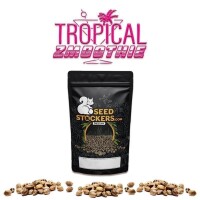 Tropical Zmoothie Fem