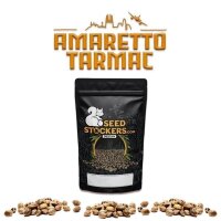 Amaretto Tarmac Auto