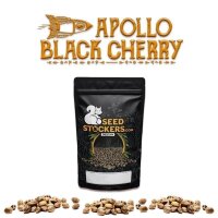 Apollo Black Cherry Auto
