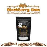 Black Berry Gum Auto