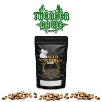 Thunder Dawg Regular 10 Samen