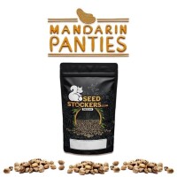 Mandarin Panties Auto