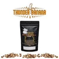 Thunder Banana Auto