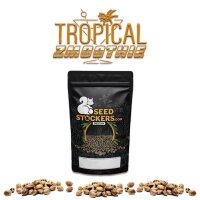 Tropical Zmoothie Auto