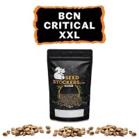 BCN Critical XXL Auto