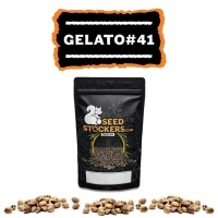 Gelato 41 Auto