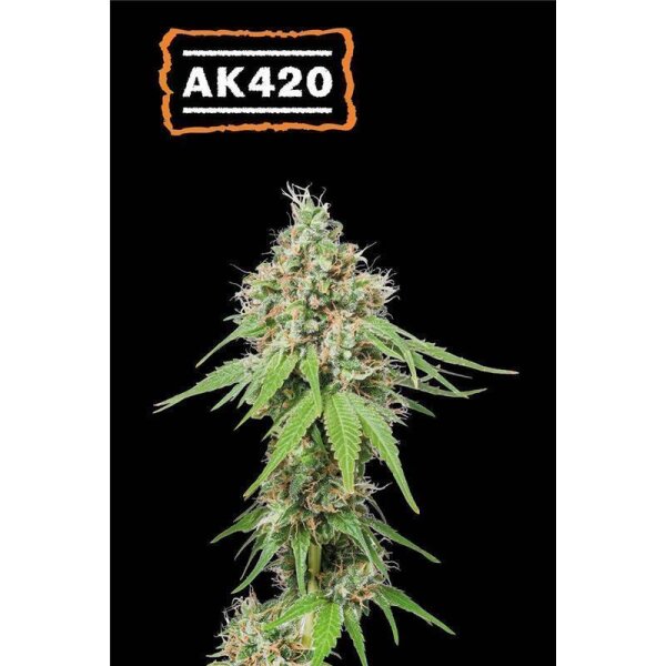 AK420 Fem