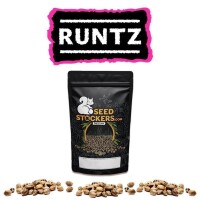 Runtz Fem