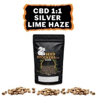 CBD 1:1 Silver Lime Haze Auto