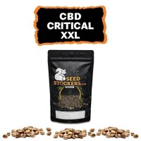 CBD Critical XXL Auto